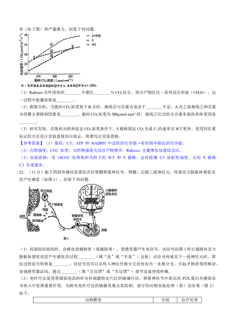 2025《高考真题&bull;辽吉黑蒙》生物真题_2025《全国高考真题卷》各地方卷_2025《高考真题&bull;辽吉黑蒙》