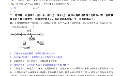 2025《高考真题&bull;辽吉黑蒙》生物真题_2025《全国高考真题卷》各地方卷_2025《高考真题&bull;辽吉黑蒙》
