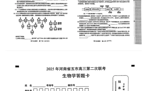 2025年河南省五市高三第二次联考-生物试卷_2025年4月_250425河南五市二联2025年河南省五市高三第二次联考