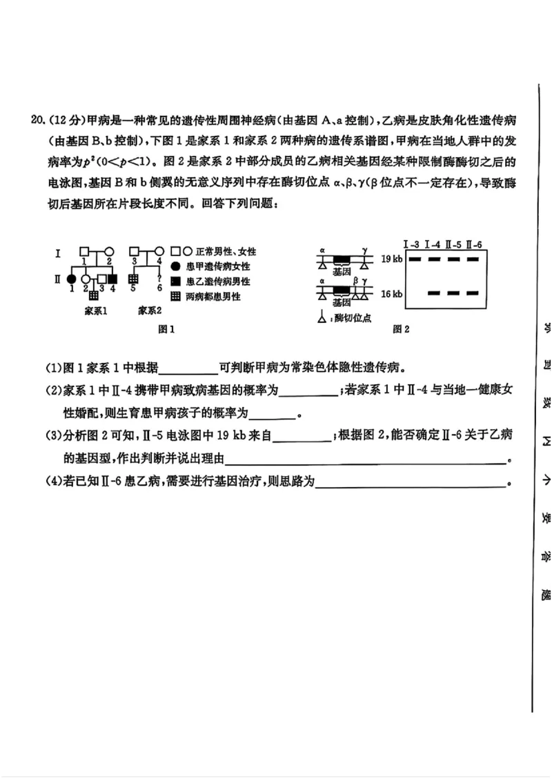 2025年安徽省示范高中皖北协作区第27届联考生物_2025年3月_2503282025年安徽省示范高中皖北协作区第27届联考（全科）_2025年安徽省示范高中皖北协作区第27届联考生物