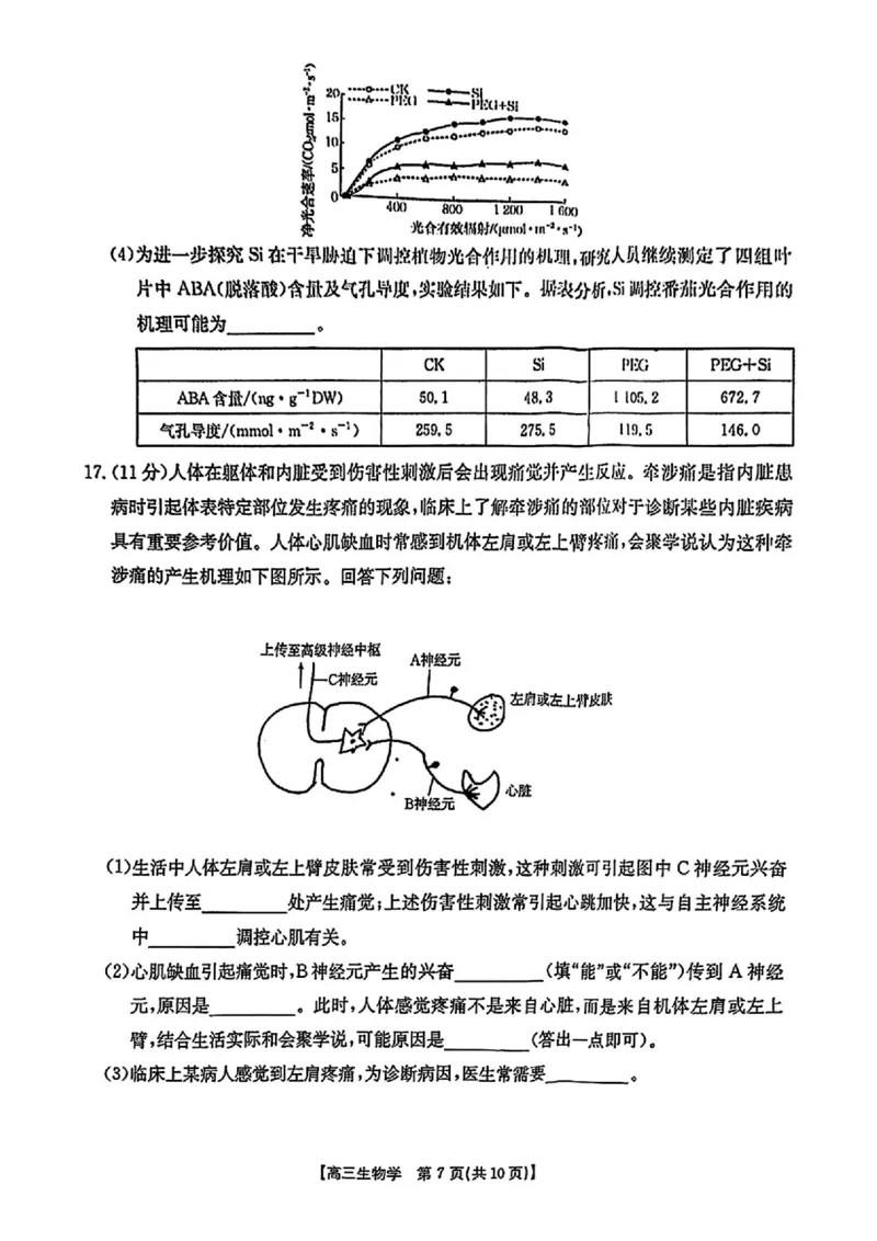 2025年安徽省示范高中皖北协作区第27届联考生物_2025年3月_2503282025年安徽省示范高中皖北协作区第27届联考（全科）_2025年安徽省示范高中皖北协作区第27届联考生物