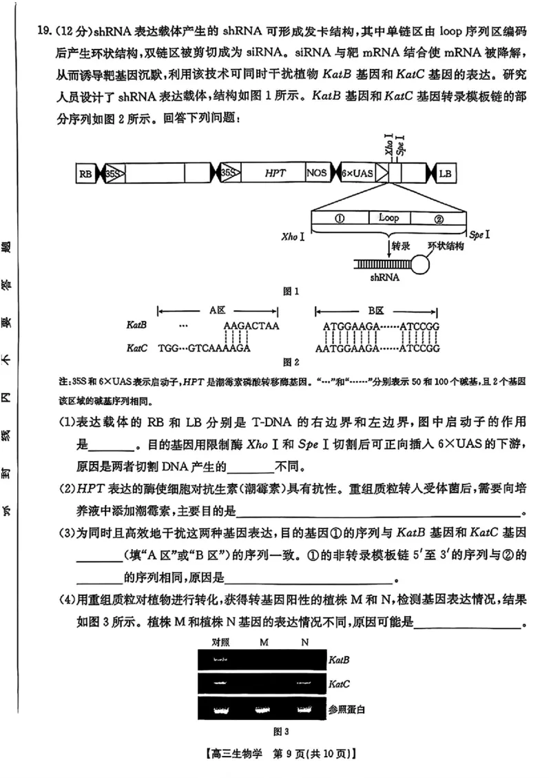 2025年安徽省示范高中皖北协作区第27届联考生物_2025年3月_2503282025年安徽省示范高中皖北协作区第27届联考（全科）_2025年安徽省示范高中皖北协作区第27届联考生物