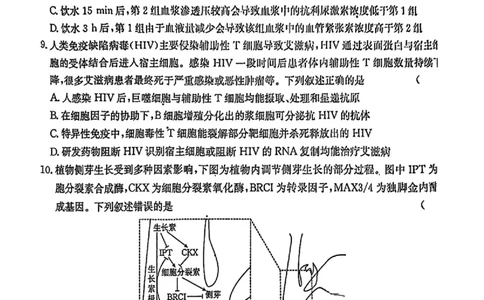 2025年安徽省示范高中皖北协作区第27届联考生物_2025年3月_2503282025年安徽省示范高中皖北协作区第27届联考（全科）_2025年安徽省示范高中皖北协作区第27届联考生物