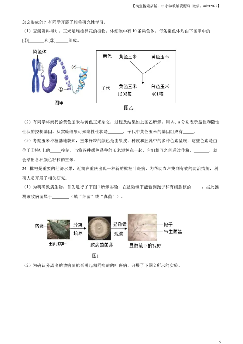 精品解析：2024年重庆市中考生物试题（原卷版）_中考真题_8.生物中考真题2015-2024年_2024年中考生物真题_精品解析：2024年重庆市中考生物试题