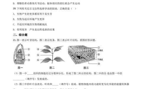 精品解析：辽宁省阜新市2020年中考生物试题（原卷版）_中考真题_8.生物中考真题2015-2024年_2020生物真题74份_精品解析：辽宁省阜新市2020年中考生物试题