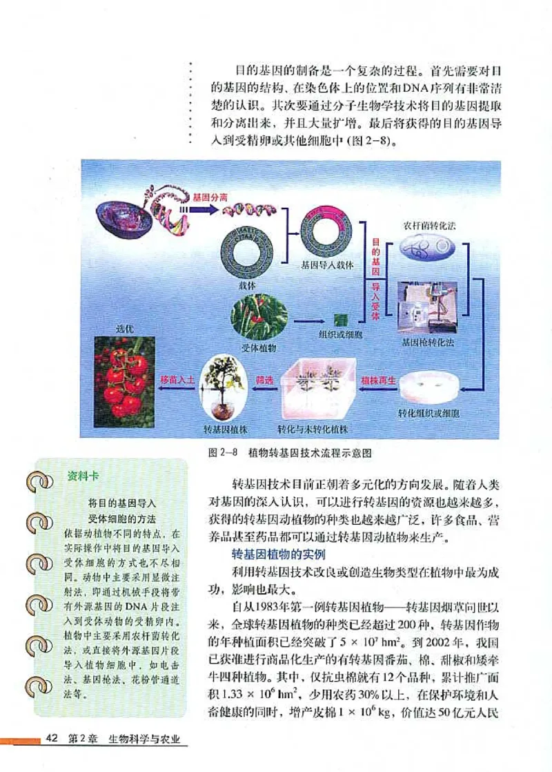 高中生物选修2生物科学与社会_4-教培资料-26年最新资料-同步更新_初中高中教资_03科三专项（进去保存报考的学科即可）_02科三专项（笔记真题思维导图教学设计版本二）