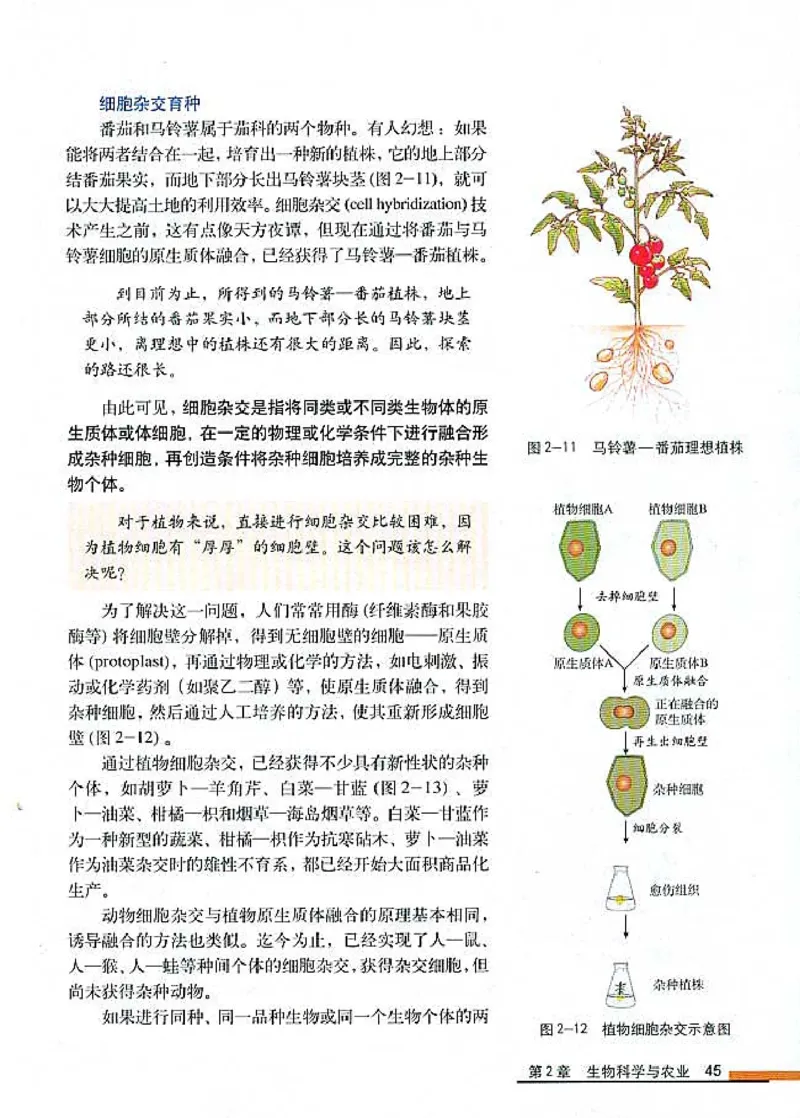 高中生物选修2生物科学与社会_4-教培资料-26年最新资料-同步更新_初中高中教资_03科三专项（进去保存报考的学科即可）_02科三专项（笔记真题思维导图教学设计版本二）