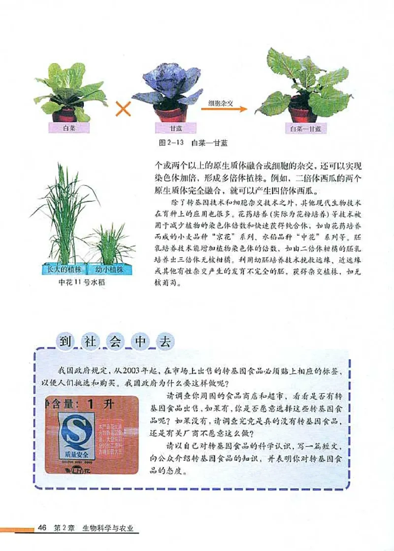 高中生物选修2生物科学与社会_4-教培资料-26年最新资料-同步更新_初中高中教资_03科三专项（进去保存报考的学科即可）_02科三专项（笔记真题思维导图教学设计版本二）