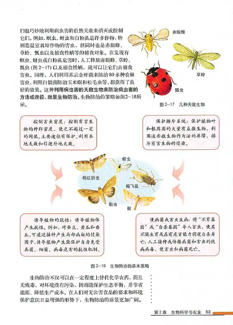 高中生物选修2生物科学与社会_4-教培资料-26年最新资料-同步更新_初中高中教资_03科三专项（进去保存报考的学科即可）_02科三专项（笔记真题思维导图教学设计版本二）