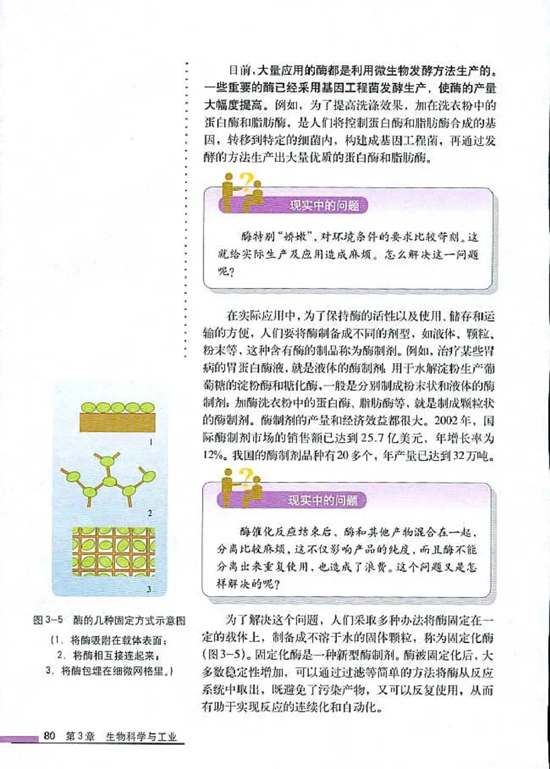 高中生物选修2生物科学与社会_4-教培资料-26年最新资料-同步更新_初中高中教资_03科三专项（进去保存报考的学科即可）_02科三专项（笔记真题思维导图教学设计版本二）