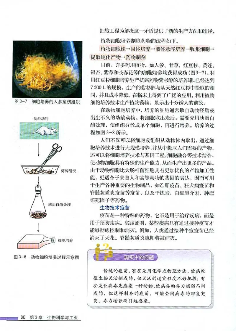 高中生物选修2生物科学与社会_4-教培资料-26年最新资料-同步更新_初中高中教资_03科三专项（进去保存报考的学科即可）_02科三专项（笔记真题思维导图教学设计版本二）