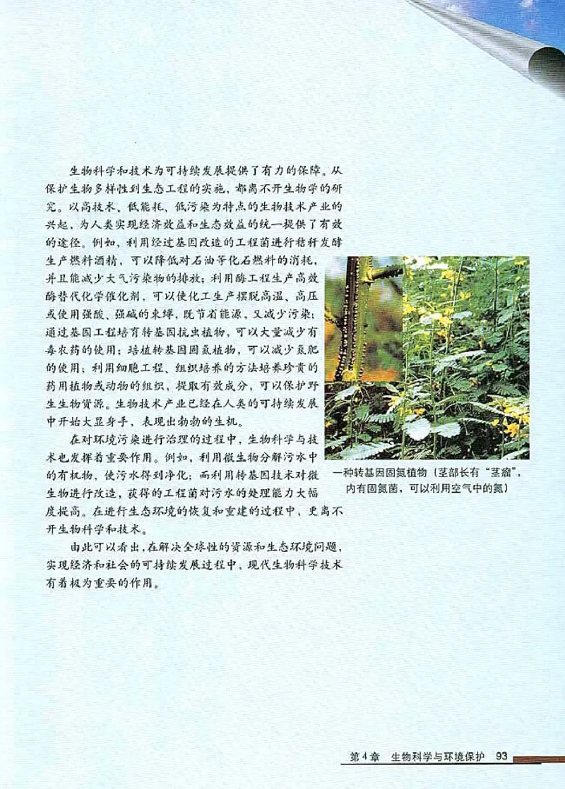 高中生物选修2生物科学与社会_4-教培资料-26年最新资料-同步更新_初中高中教资_03科三专项（进去保存报考的学科即可）_02科三专项（笔记真题思维导图教学设计版本二）