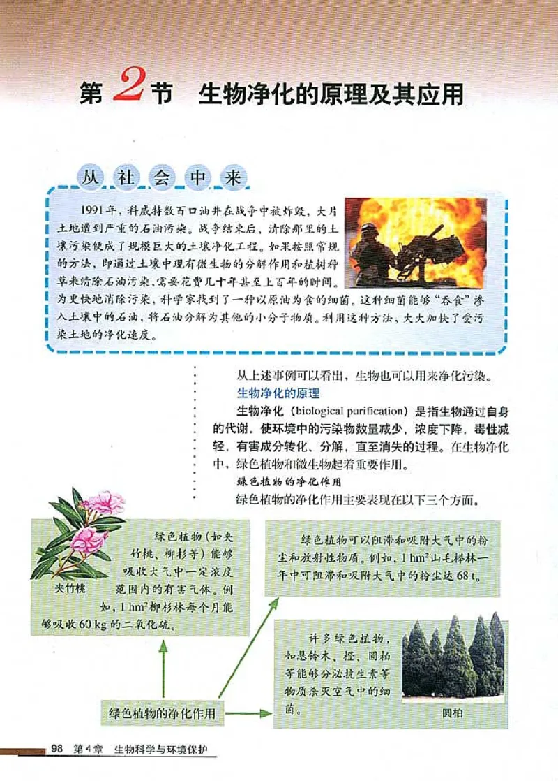 高中生物选修2生物科学与社会_4-教培资料-26年最新资料-同步更新_初中高中教资_03科三专项（进去保存报考的学科即可）_02科三专项（笔记真题思维导图教学设计版本二）