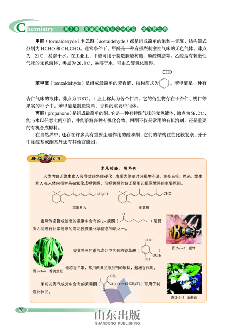 鲁科版高中化学选修5-有机化学基础（2003课标版）_4-教培资料-26年最新资料-同步更新_初中高中教资_03科三专项（进去保存报考的学科即可）_112025高中科目（全）电子教材