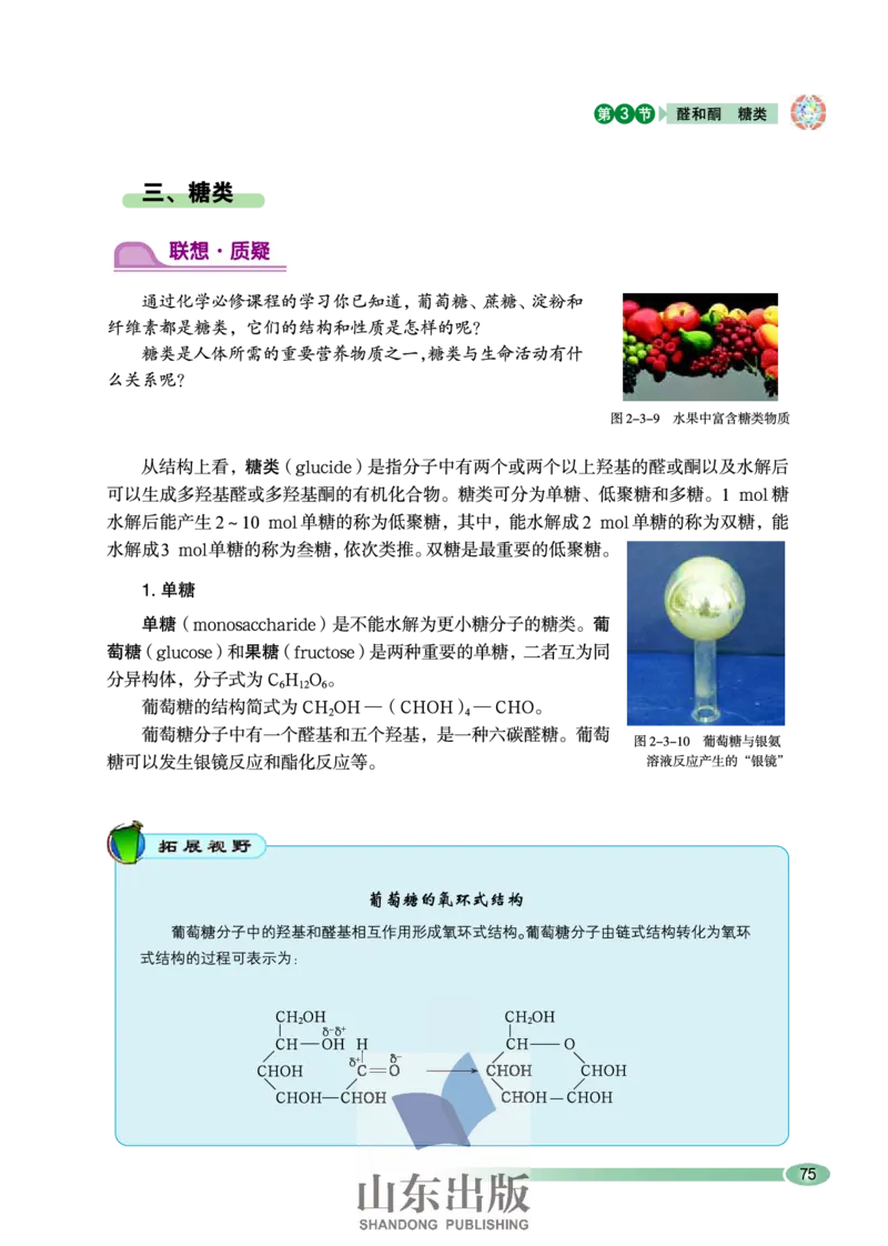 鲁科版高中化学选修5-有机化学基础（2003课标版）_4-教培资料-26年最新资料-同步更新_初中高中教资_03科三专项（进去保存报考的学科即可）_112025高中科目（全）电子教材
