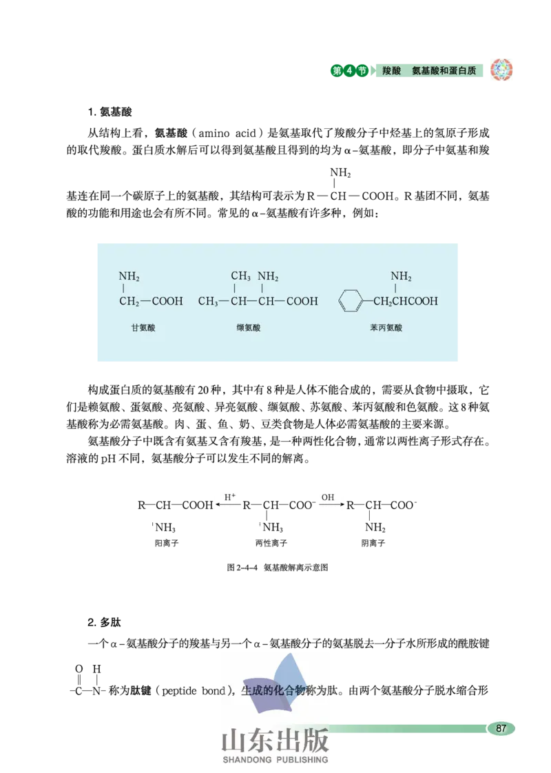 鲁科版高中化学选修5-有机化学基础（2003课标版）_4-教培资料-26年最新资料-同步更新_初中高中教资_03科三专项（进去保存报考的学科即可）_112025高中科目（全）电子教材