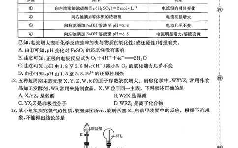 化学试题及参考答案_2025年10月_251013山东省金太阳百校大联考2025-2026学年高三上学期10月联考（全科）