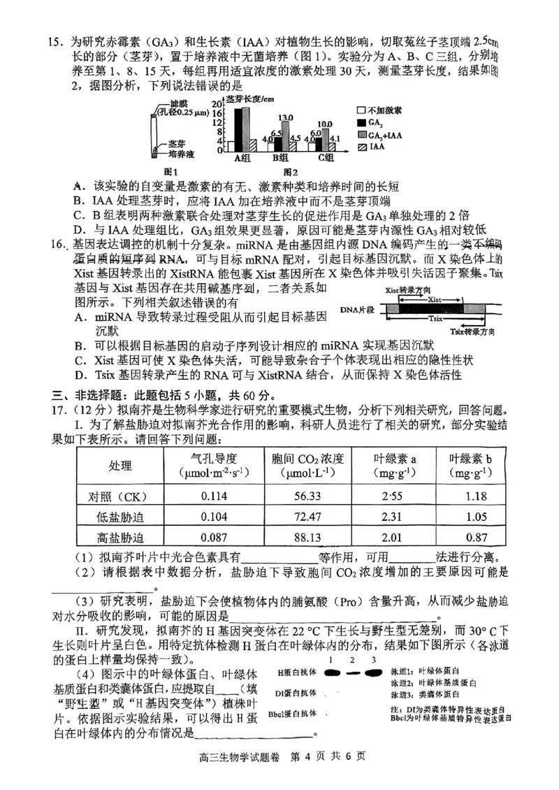 2024-2025学年上学期湖南省益阳市高三生物期末(试题卷)_2025年1月_250120湖南益阳市2024-2025学年高三上学期期末考试_生物
