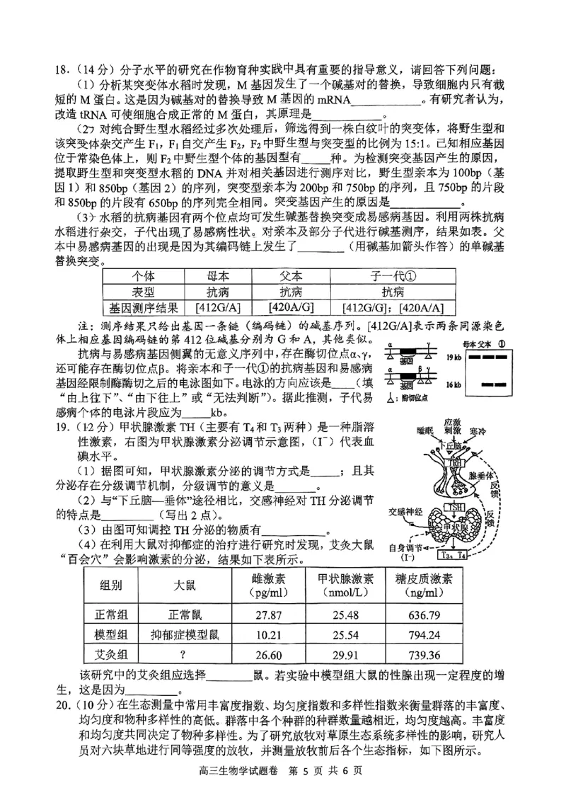 2024-2025学年上学期湖南省益阳市高三生物期末(试题卷)_2025年1月_250120湖南益阳市2024-2025学年高三上学期期末考试_生物