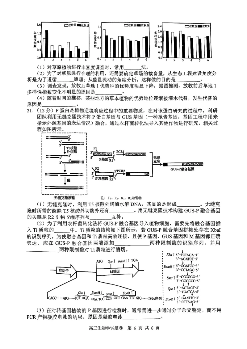 2024-2025学年上学期湖南省益阳市高三生物期末(试题卷)_2025年1月_250120湖南益阳市2024-2025学年高三上学期期末考试_生物