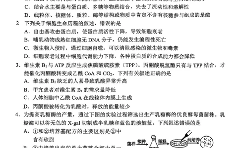 2024-2025学年上学期湖南省益阳市高三生物期末(试题卷)_2025年1月_250120湖南益阳市2024-2025学年高三上学期期末考试_生物