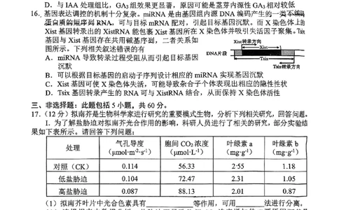 2024-2025学年上学期湖南省益阳市高三生物期末(试题卷)_2025年1月_250120湖南益阳市2024-2025学年高三上学期期末考试_生物
