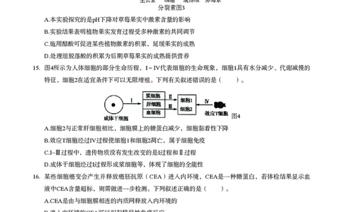 高中生物科目三考前3套卷_4-教培资料-26年最新资料-同步更新_初中高中教资_03科三专项（进去保存报考的学科即可）_卢姨25下：科目三考前3套卷_高中_高中生物