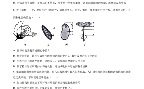 精品解析：2024年四川省达州市中考生物真题（原卷版）_中考真题_8.生物中考真题2015-2024年_2024年中考生物真题_精品解析：2024年四川省达州市中考理综真题-初中生物学