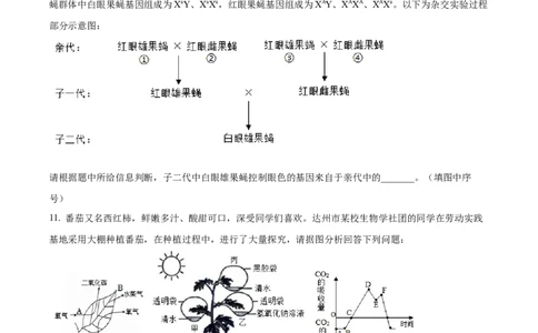 精品解析：2024年四川省达州市中考生物真题（原卷版）_中考真题_8.生物中考真题2015-2024年_2024年中考生物真题_精品解析：2024年四川省达州市中考理综真题-初中生物学