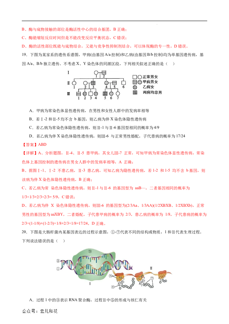 生物（新高考通用）01（解析版）(1)_1多考区联考_08272024年新高二开学摸底考试卷（word版含解析和答题卡）