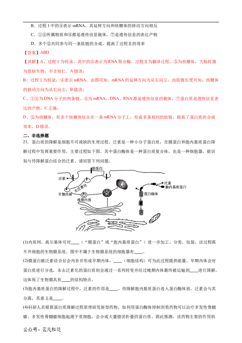 生物（新高考通用）01（解析版）(1)_1多考区联考_08272024年新高二开学摸底考试卷（word版含解析和答题卡）