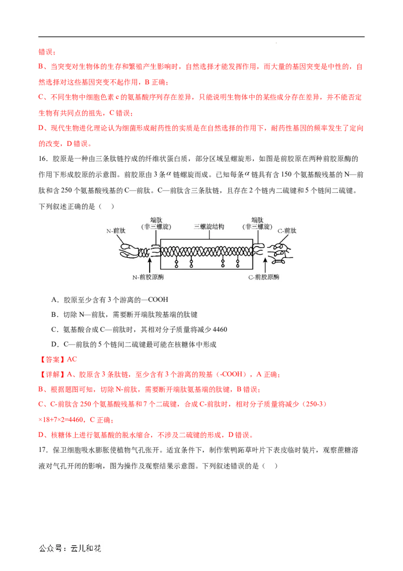 生物（新高考通用）01（解析版）(1)_1多考区联考_08272024年新高二开学摸底考试卷（word版含解析和答题卡）
