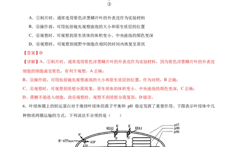 生物（新高考通用）01（解析版）(1)_1多考区联考_08272024年新高二开学摸底考试卷（word版含解析和答题卡）