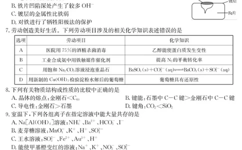 6060C化学_2025年10月_251014广东省&ldquo;八校联盟&rdquo;2026届高三上学期质量检测（二）（全科）_广东省&ldquo;八校联盟&rdquo;2026届高三上学期质量检测（二）化学试卷（含答案）