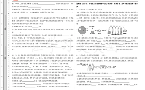(8.34)-点睛押题卷&mdash;&mdash;全国甲卷_2024高考押题卷_132024高途全系列_26高途点睛卷_2024点睛密卷-生物