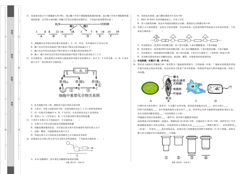 高一生物第一次月考卷01（A3考试版）测试范围：必修1第1~2章（新高考通用）_1多考区联考试卷