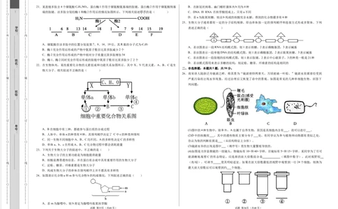 高一生物第一次月考卷01（A3考试版）测试范围：必修1第1~2章（新高考通用）_1多考区联考试卷