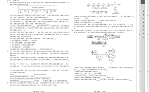 高一生物第一次月考卷01（A3考试版）测试范围：必修1第1~2章（新高考通用）_1多考区联考试卷
