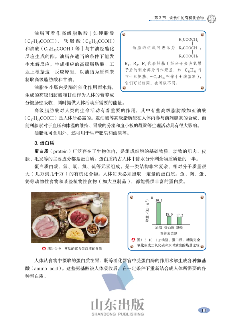 鲁科版高中化学必修2(2017课标版)_4-教培资料-26年最新资料-同步更新_初中高中教资_03科三专项（进去保存报考的学科即可）_02科三专项（笔记真题思维导图教学设计版本二）