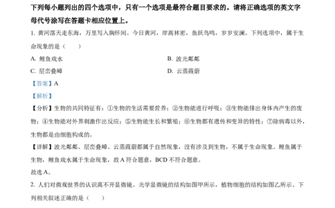 精品解析：2024年河南省中考生物真题（解析版）_中考真题_8.生物中考真题2015-2024年_2024年中考生物真题_精品解析：2024年河南省中考生物真题