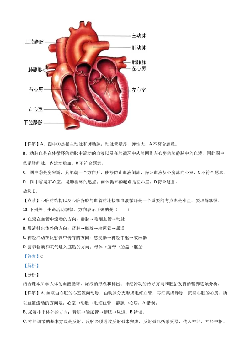 精品解析：湖北省宜昌市2020年中考生物试题（解析版）_中考真题_8.生物中考真题2015-2024年_2020生物真题74份_2020年中考真题精品解析生物（湖北宜昌卷）精编word版