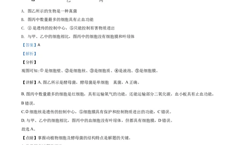 精品解析：湖北省宜昌市2020年中考生物试题（解析版）_中考真题_8.生物中考真题2015-2024年_2020生物真题74份_2020年中考真题精品解析生物（湖北宜昌卷）精编word版