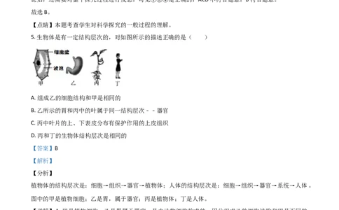 精品解析：湖北省宜昌市2020年中考生物试题（解析版）_中考真题_8.生物中考真题2015-2024年_2020生物真题74份_2020年中考真题精品解析生物（湖北宜昌卷）精编word版