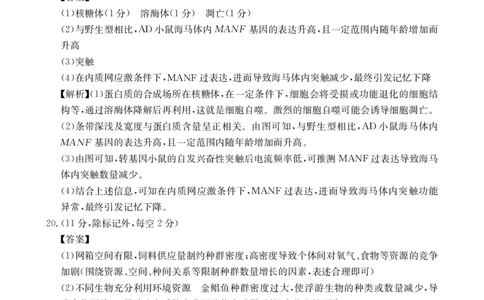2025年广东省湛江市普通高考第二次调研测试(二模)生物答案_2025年4月_2504182025届广东省湛江市高三下学期4月二模（全科）_2025届广东省湛江市高三下学期4月二模生物