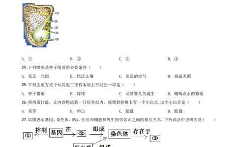 精品解析：四川省广安市2020年中考生物试题（原卷版）_中考真题_8.生物中考真题2015-2024年_2020生物真题74份_2020年中考真题精品解析生物（四川广安卷）精编word版