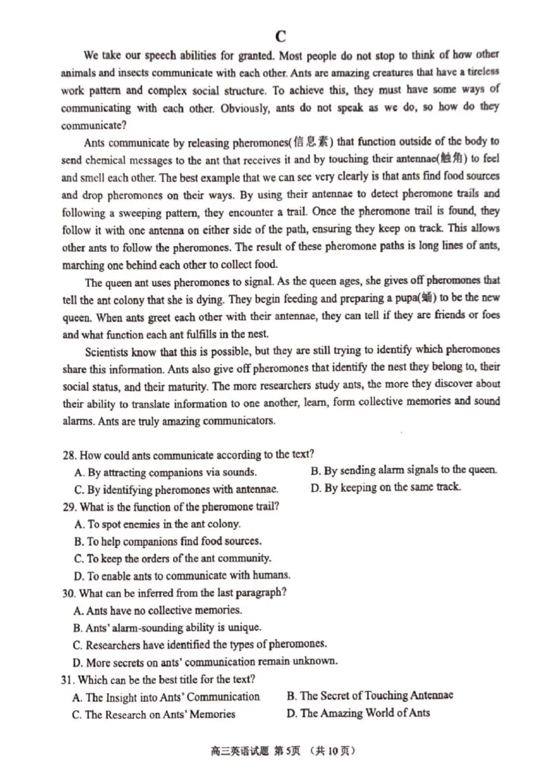2025届山东省淄博市高三下学期一模英语试题_2025年3月_250309山东省淄博市、滨州市2025届高三下学期3月第一次模拟考试（全科）
