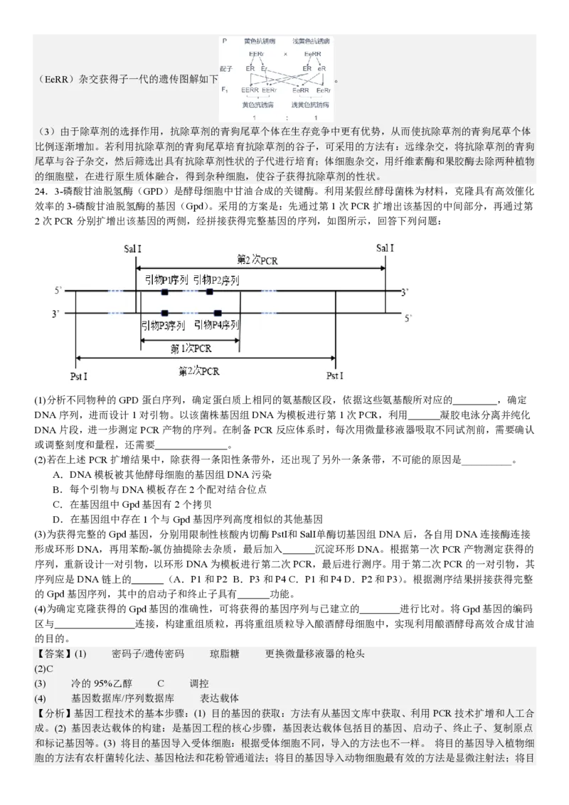 浙江生物1月-答案_1.高考2025全国各省真题+答案_00.2025各省市高考真题及答案（按省份分类）_14、浙江省（全科）_生物