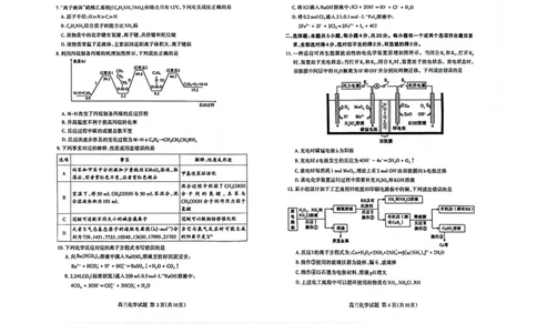 化学试题_2025年4月_250428山东省泰安市2025届高三二轮模拟检测考试（泰安二模）（全科）