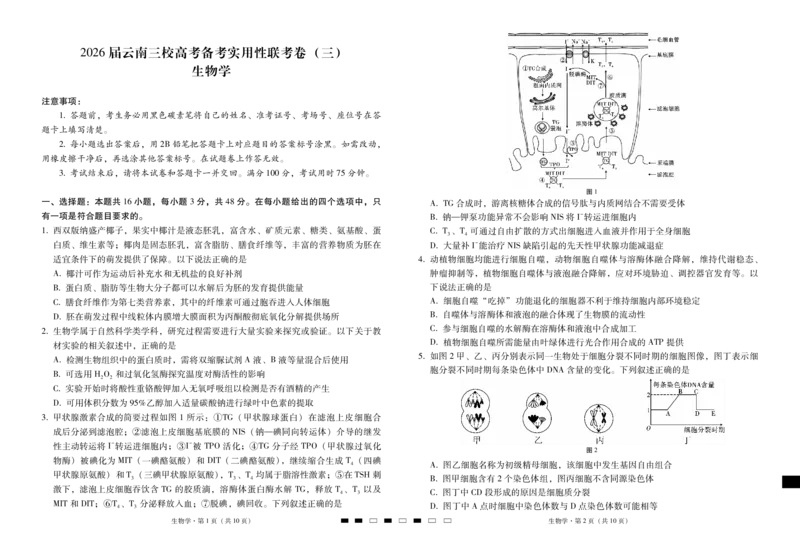 2026届云南三校高考备考实用性联考卷（三）生物_2025年10月_2510142026届云南三校高考备考实用性联考卷（三）（全科）