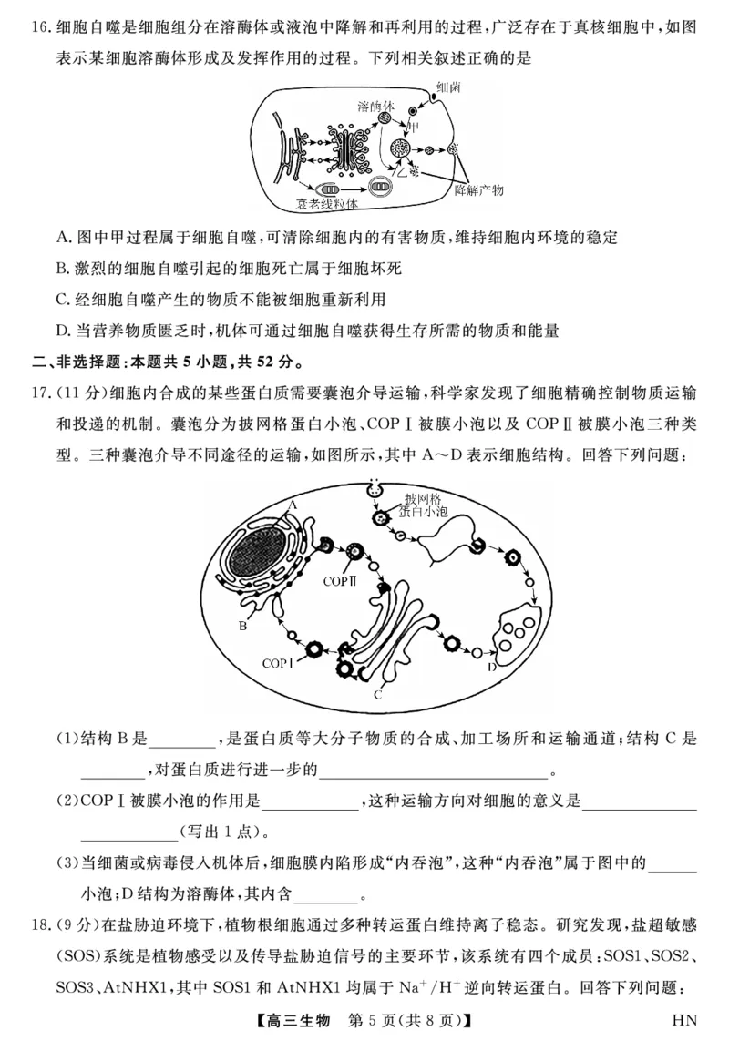 2026届高三华师联盟10月质量检测考试+生物_2025年10月_2510182026届高三华师联盟10月质量检测考试（全科）